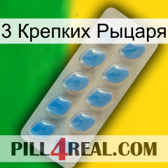 3 Крепких Рыцаря 22